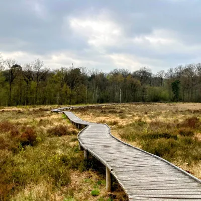 Door het dal van de Roode Beek