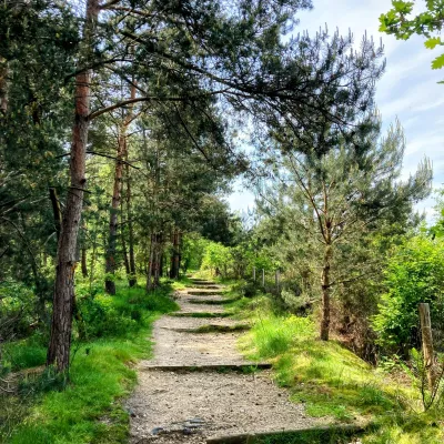 Nationaal Park De Hoge Kempen