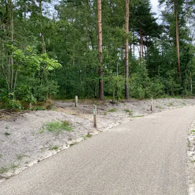 Checkpoint Dilserbos Lange Afstandspad Rondje Limburg